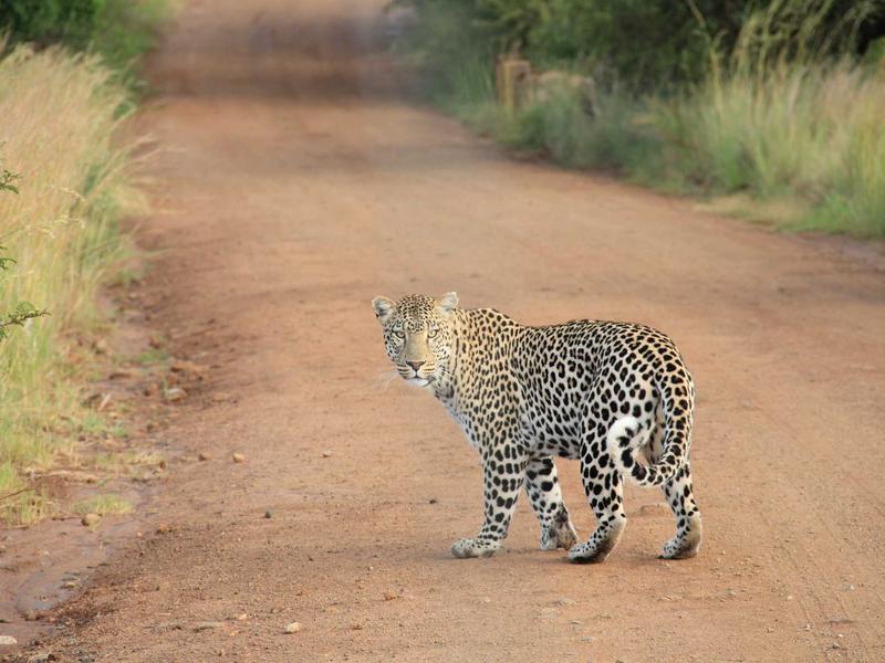 云图解密<br>qyo4ufag.cn 星美451档案